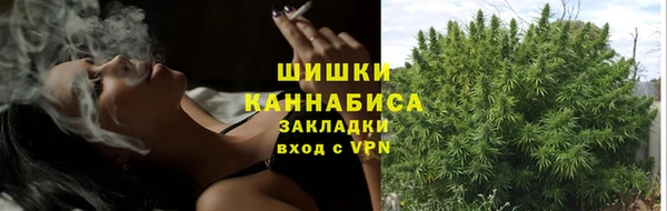 твердый Надым