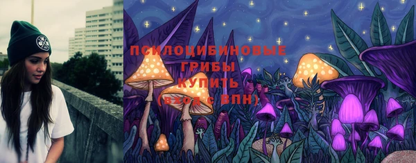 твердый Надым