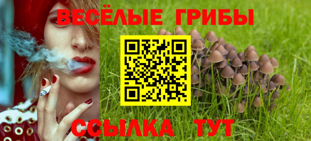 Партизанск  Псилоцибиновые грибы ЛСД  Вход с VPN  Галлюциногенные грибы GOLDEN TEACHER 